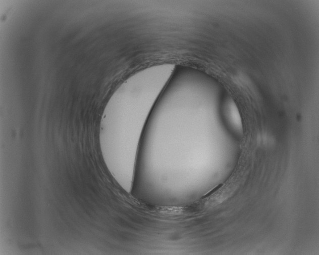 X0000066930720200603311352