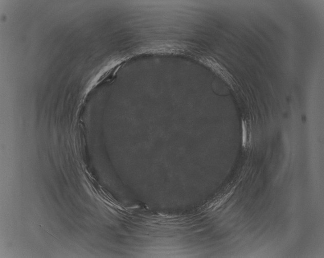 X0000066930723200603311351