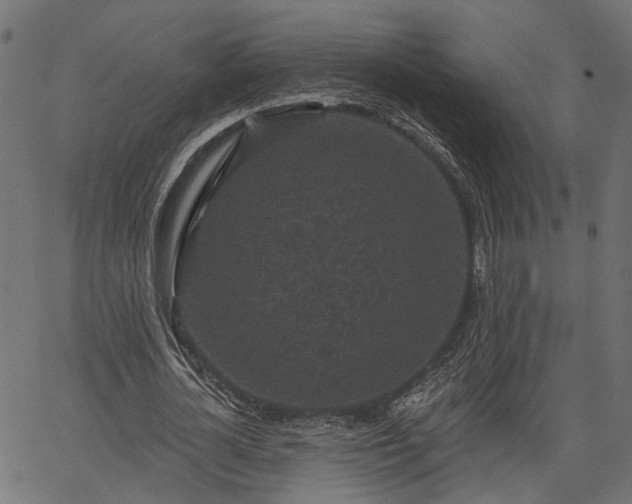 X0000066930724200603311351