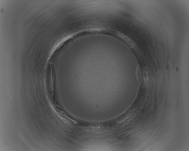 X0000066930728200603311351