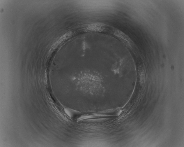 X0000066930729200603311351