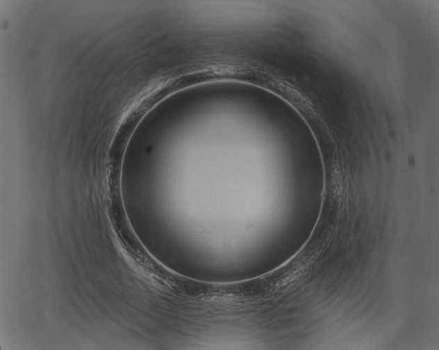 X0000066930730200603311351