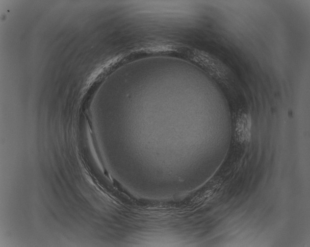 X0000066930732200603311351