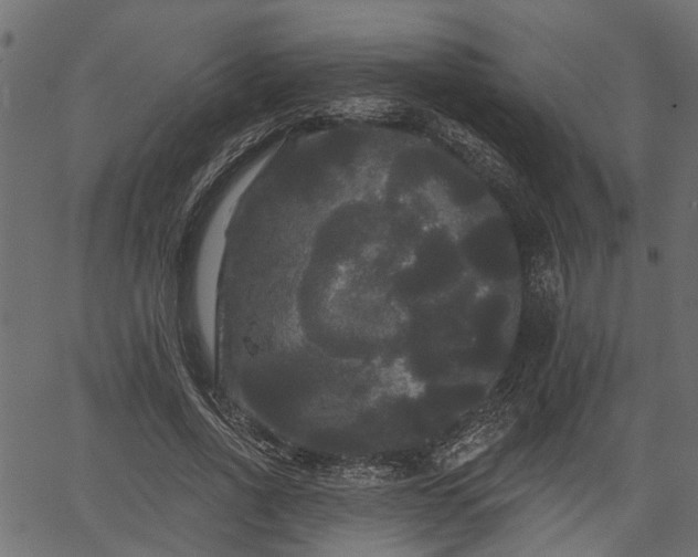 X0000066930734200603311351