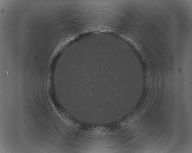 X0000066930736200603311351