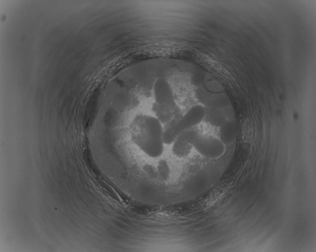 X0000066930737200603311351