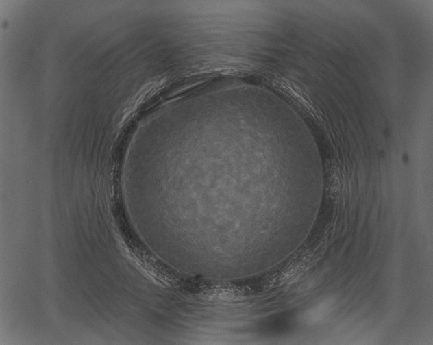 X0000066930738200603311351