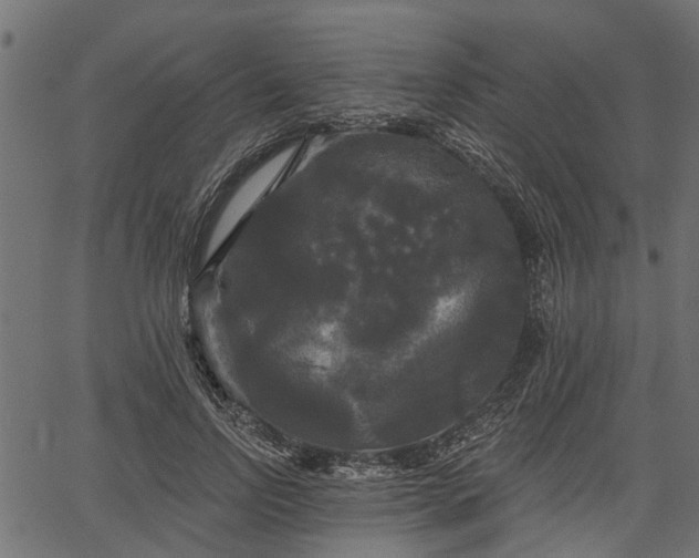 X0000066930742200603311351