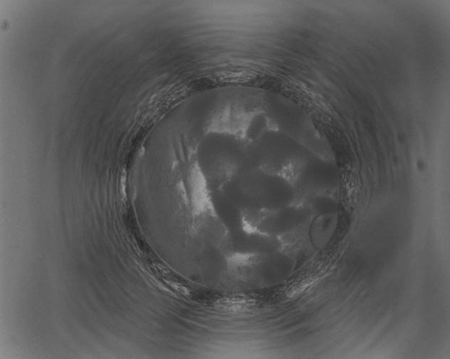 X0000066930745200603311351