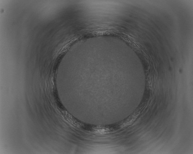 X0000066930746200603311351