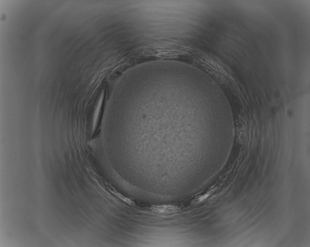 X0000066930748200603311351