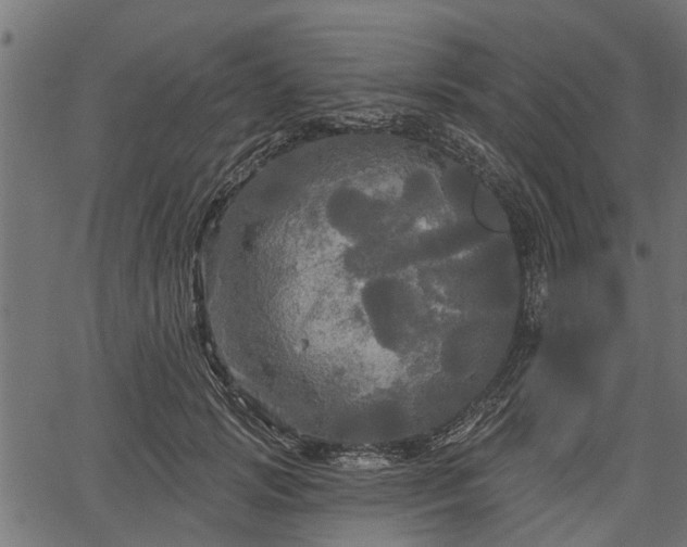 X0000066930749200603311351