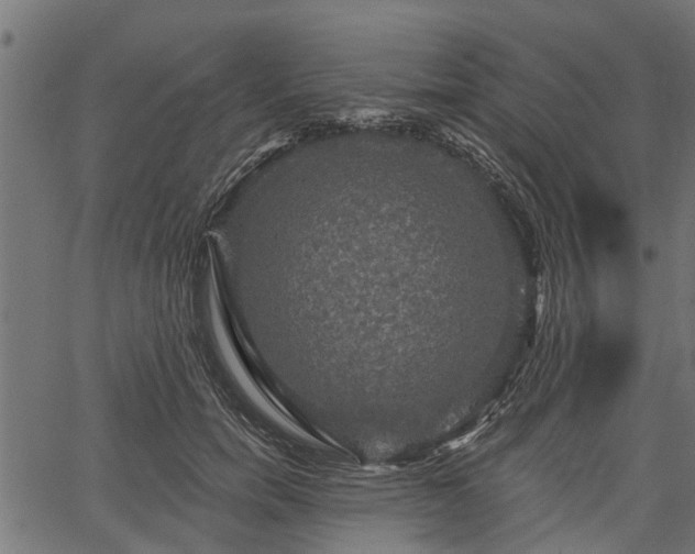 X0000066930750200603311351