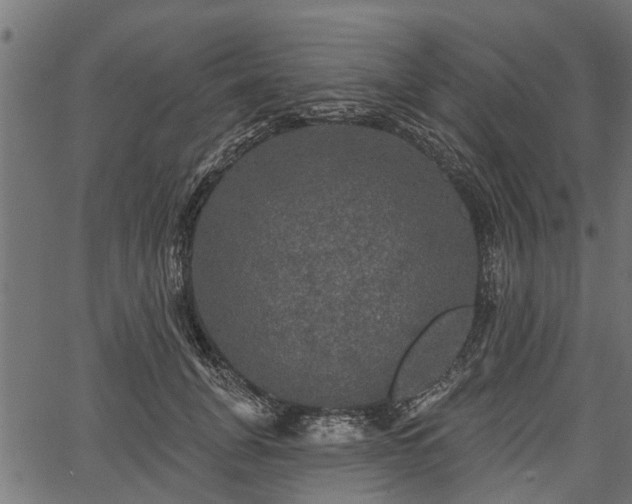 X0000066930751200603311351