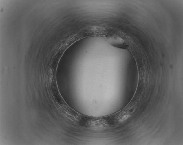 X0000066930752200603311351