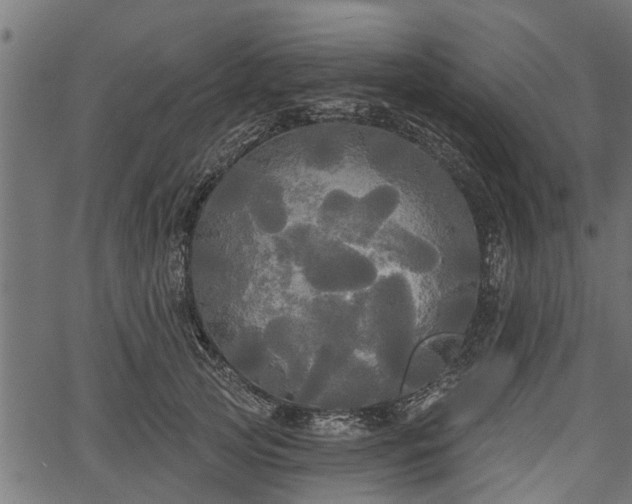 X0000066930753200603311351