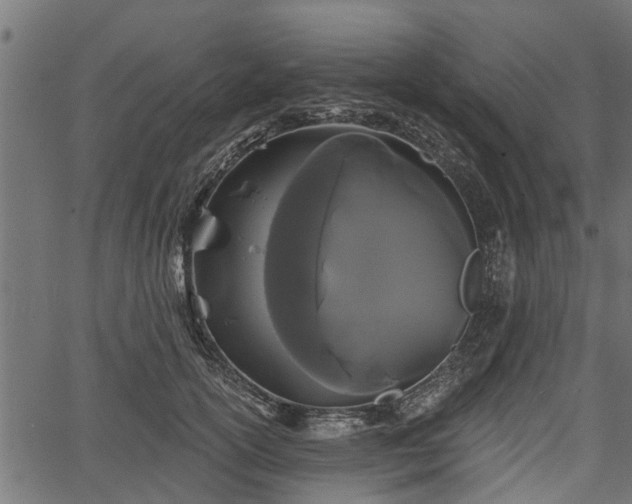 X0000066930754200603311352