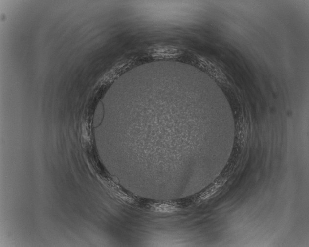 X0000066930755200603311352