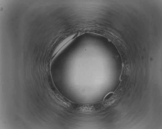 X0000066930756200603311352