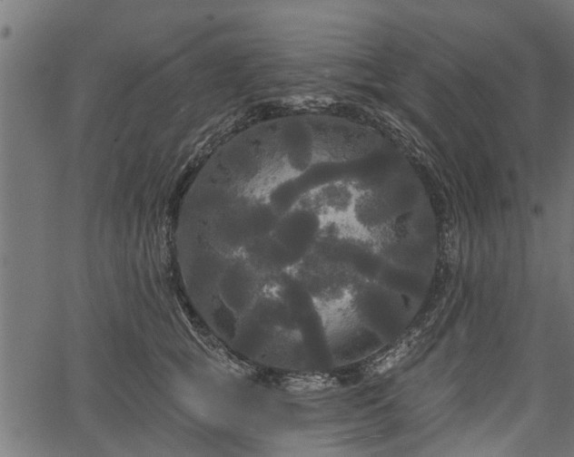 X0000066930757200603311352