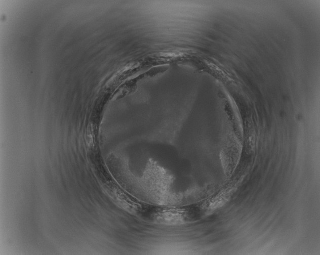 X0000066930758200603311352