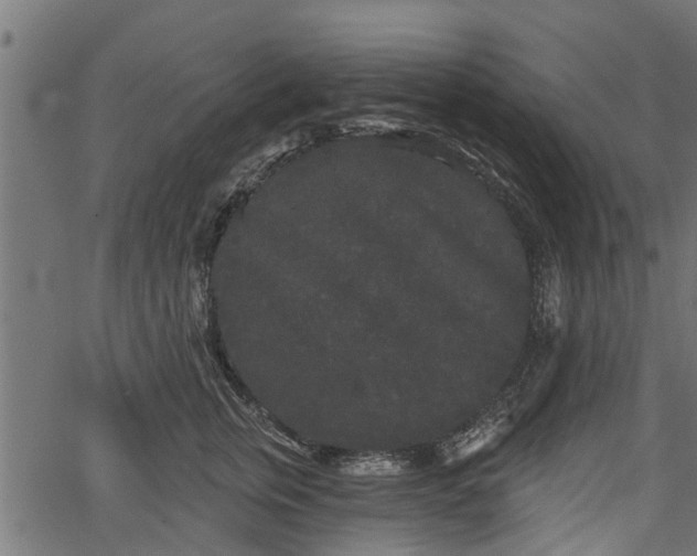 X0000066930759200603311352