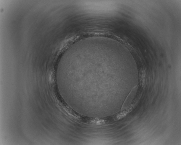 X0000066930760200603311352