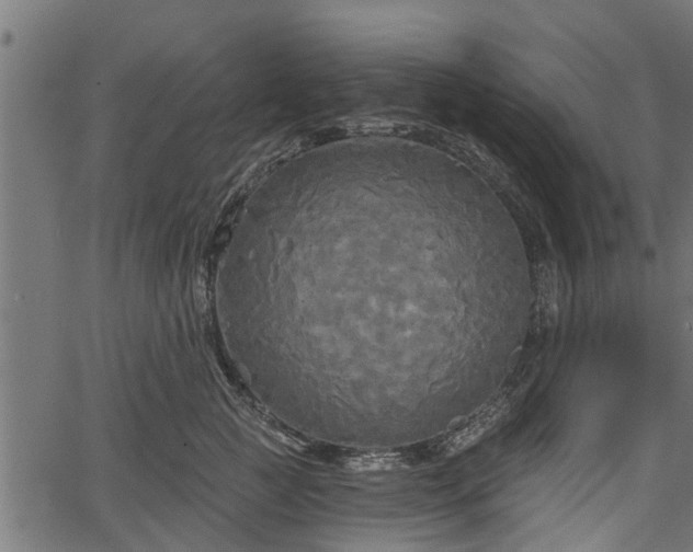 X0000066930761200603311352