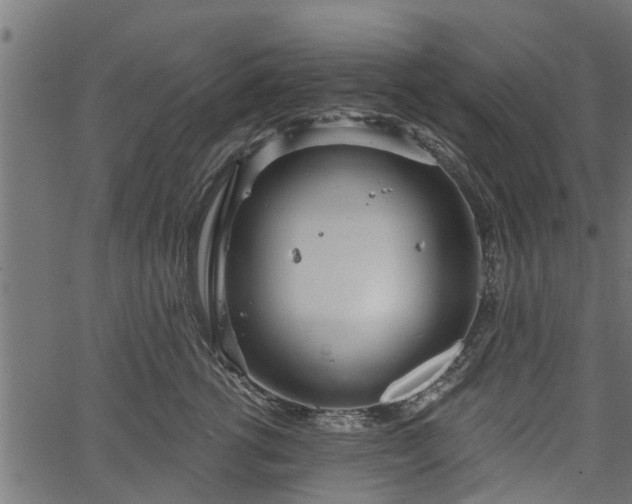 X0000066930762200603311352