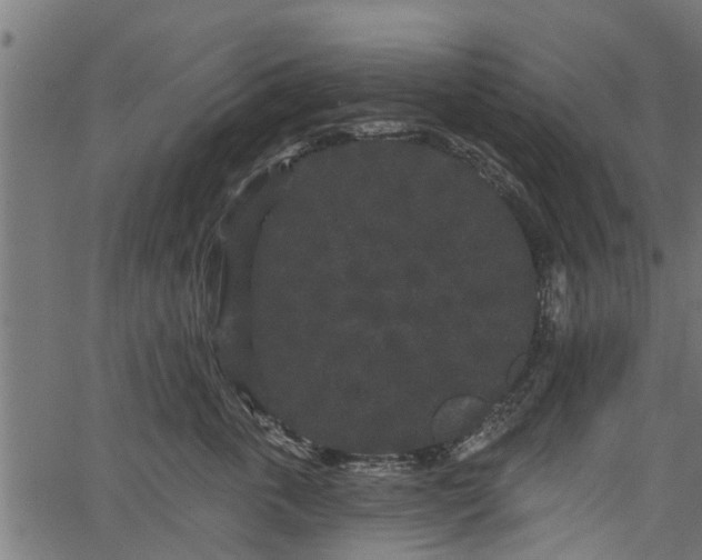 X0000066930763200603311352