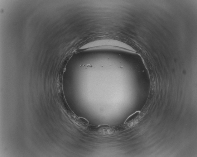 X0000066930764200603311352