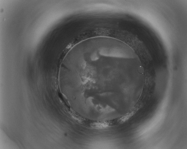 X0000066930765200603311352