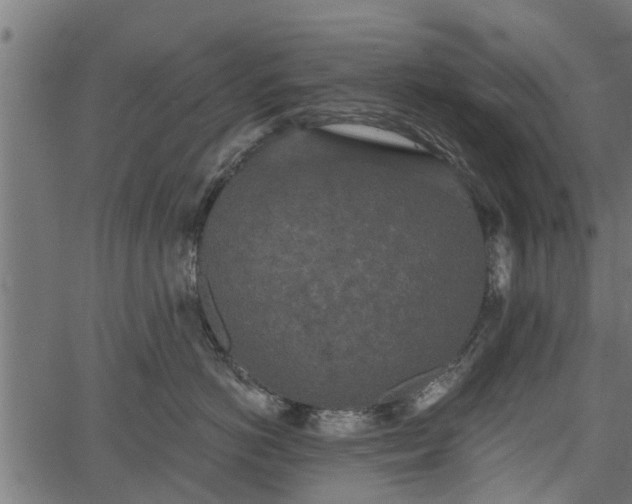 X0000066930766200603311352