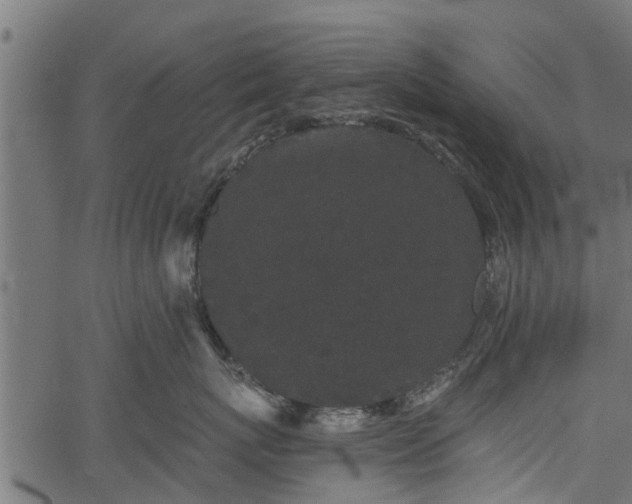 X0000066930767200603311352