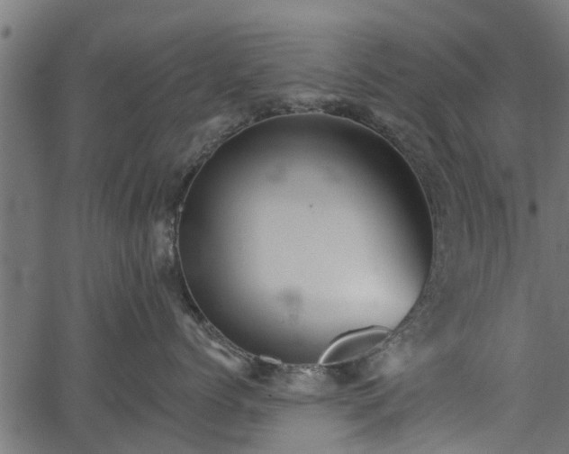 X0000066930768200603311352