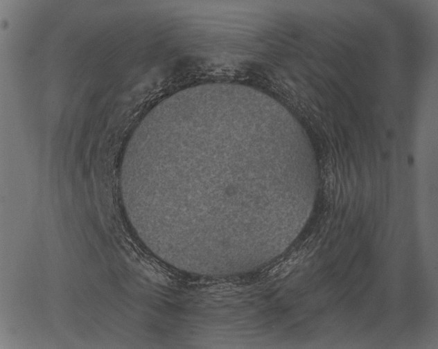 X0000066930769200603311351