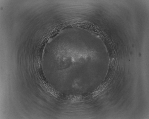 X0000066930772200603311351