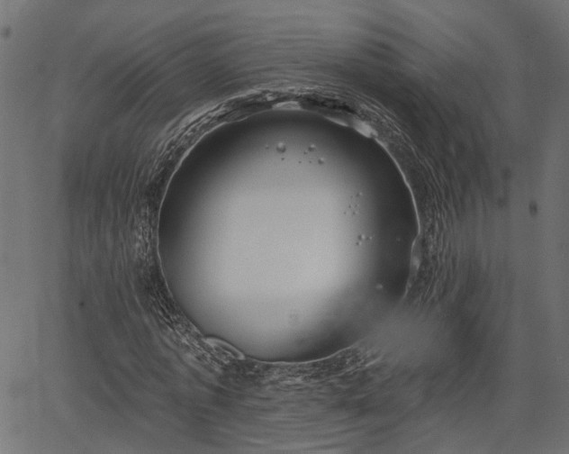 X0000066930773200603311351