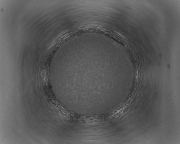 X0000066930774200603311351