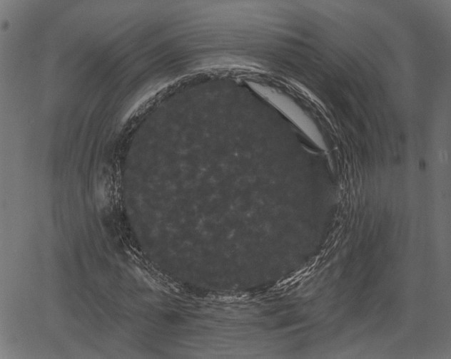 X0000066930775200603311351