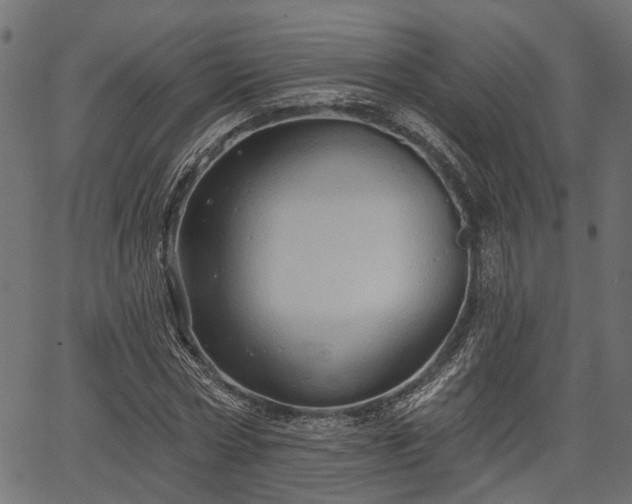 X0000066930778200603311351