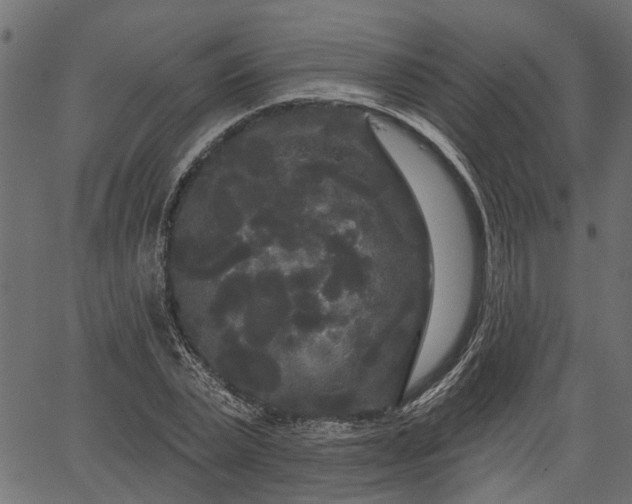 X0000066930783200603311351