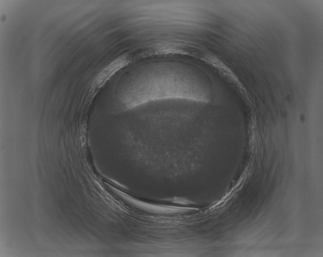 X0000066930785200603311351