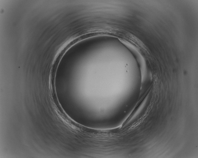 X0000066930788200603311351