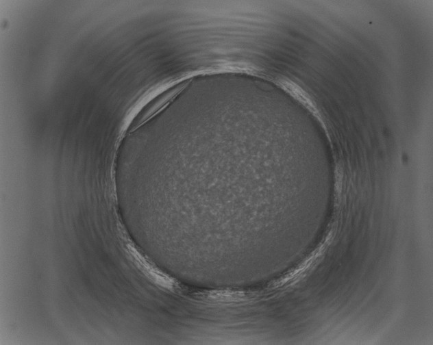 X0000066930789200603311351