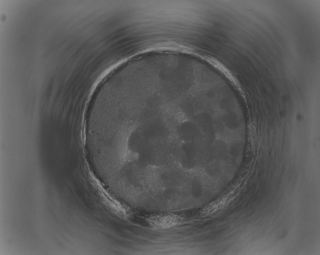 X0000066930791200603311351