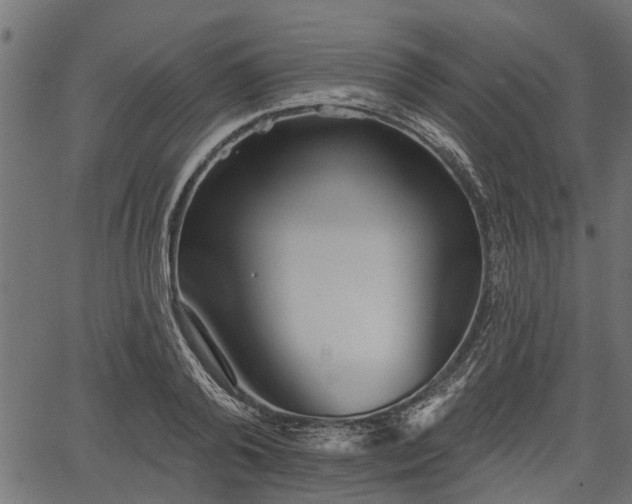 X0000066930792200603311351