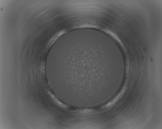 X0000066930793200603311351