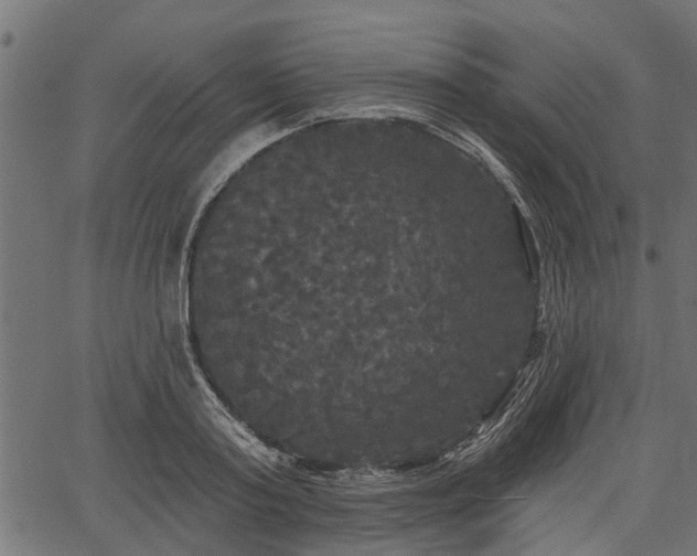 X0000066930795200603311351