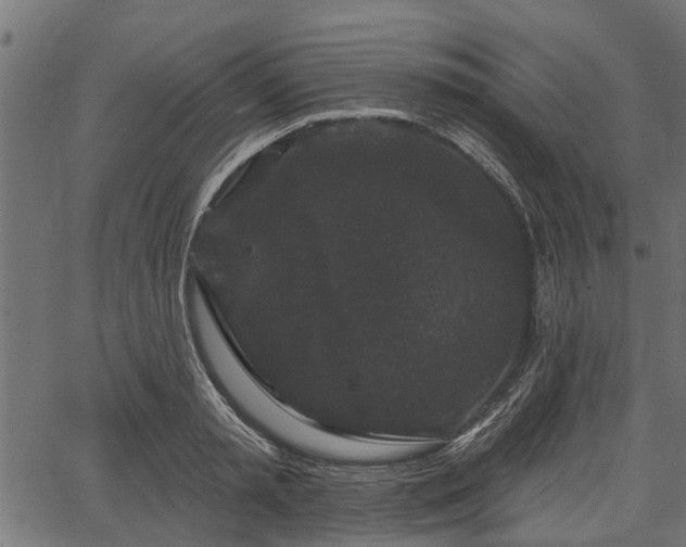 X0000066930797200603311351